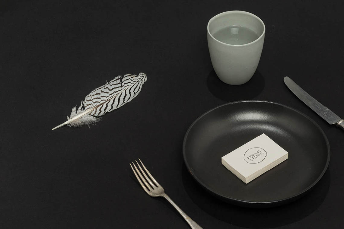 Project Images | Romulus & Remus