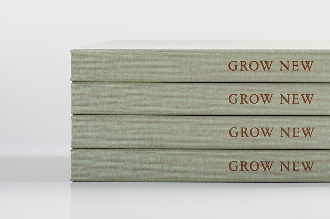 Project Images | The Grounds of Kew